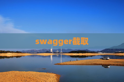 swagger截取